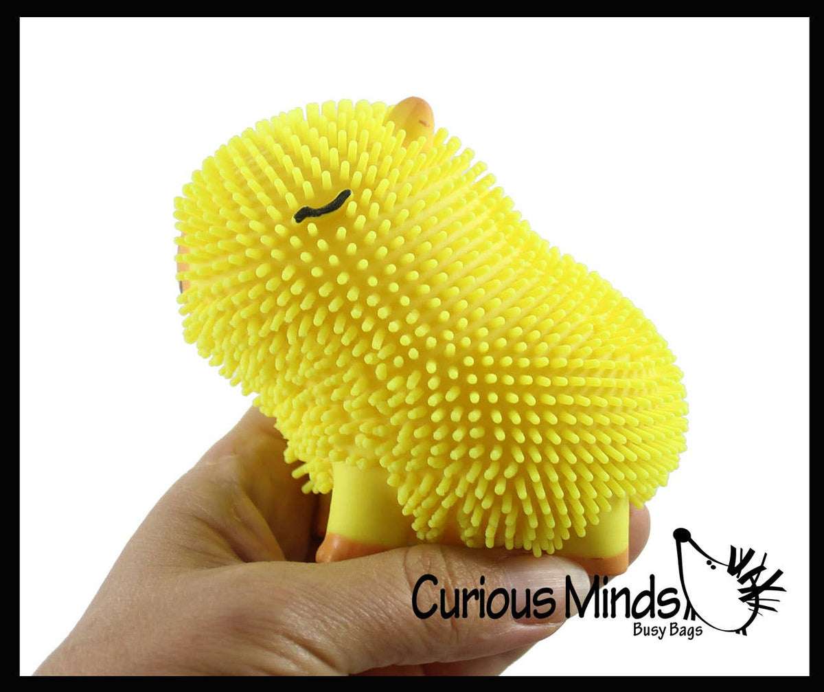 1 Capybara Puffer Air- Filled Squeeze Stress Balls - Squishy