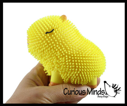 1 Capybara Puffer Air- Filled Squeeze Stress Balls - Squishy