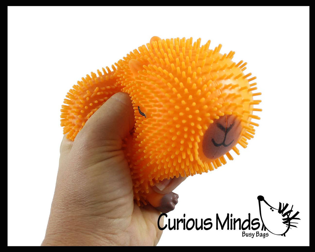 1 Capybara Puffer Air- Filled Squeeze Stress Balls - Squishy