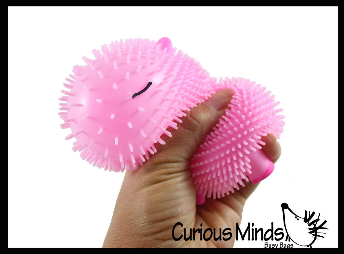 1 Capybara Puffer Air- Filled Squeeze Stress Balls - Squishy
