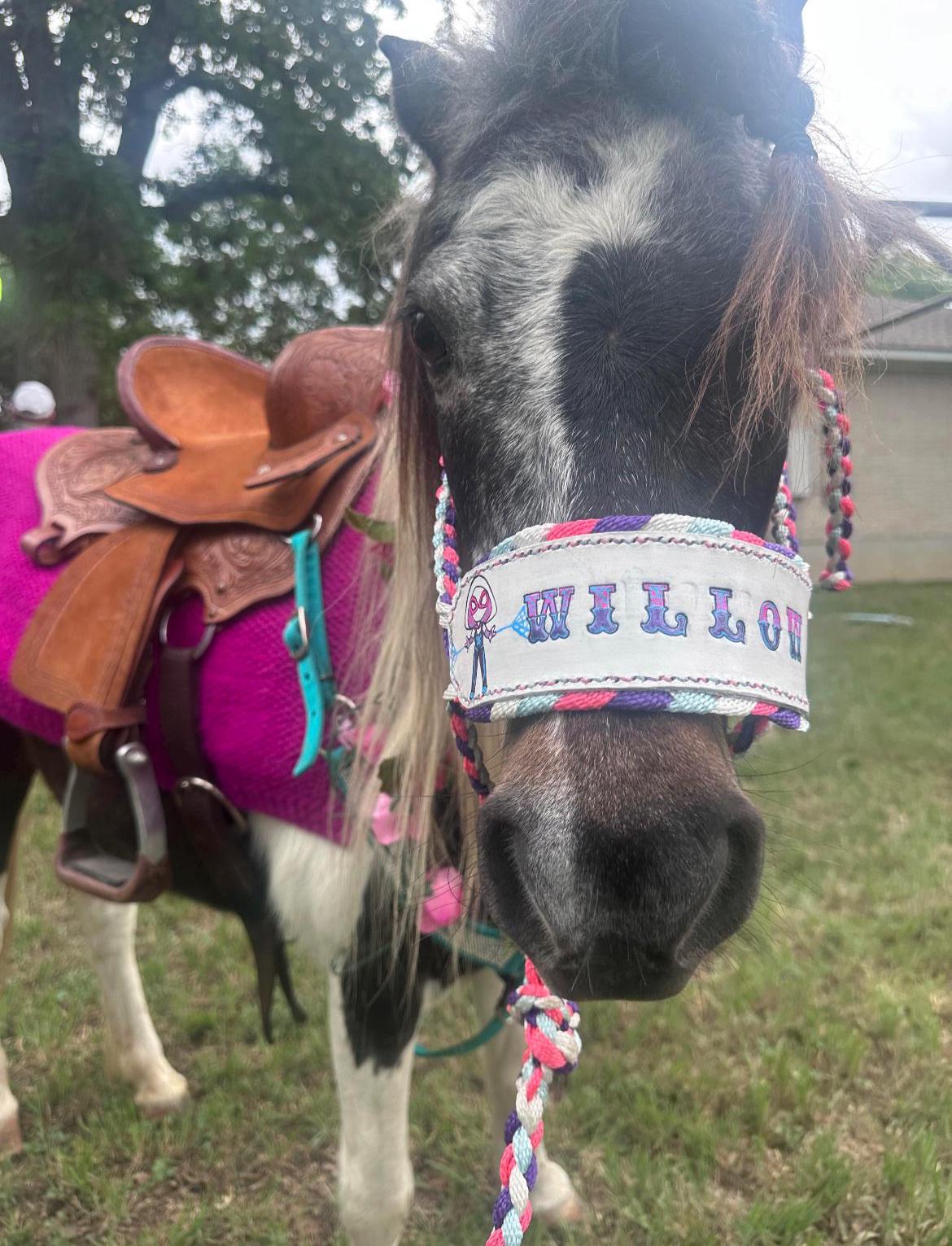 Handmade Mule Tape Halter: Braided Leather Horse Tack, Custom Colors, Hand-Stitched Design