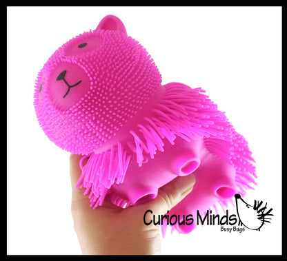 1 Shaggy Cat Large 7" Puffer Ball - Sensory Therapy Fidget Squishy