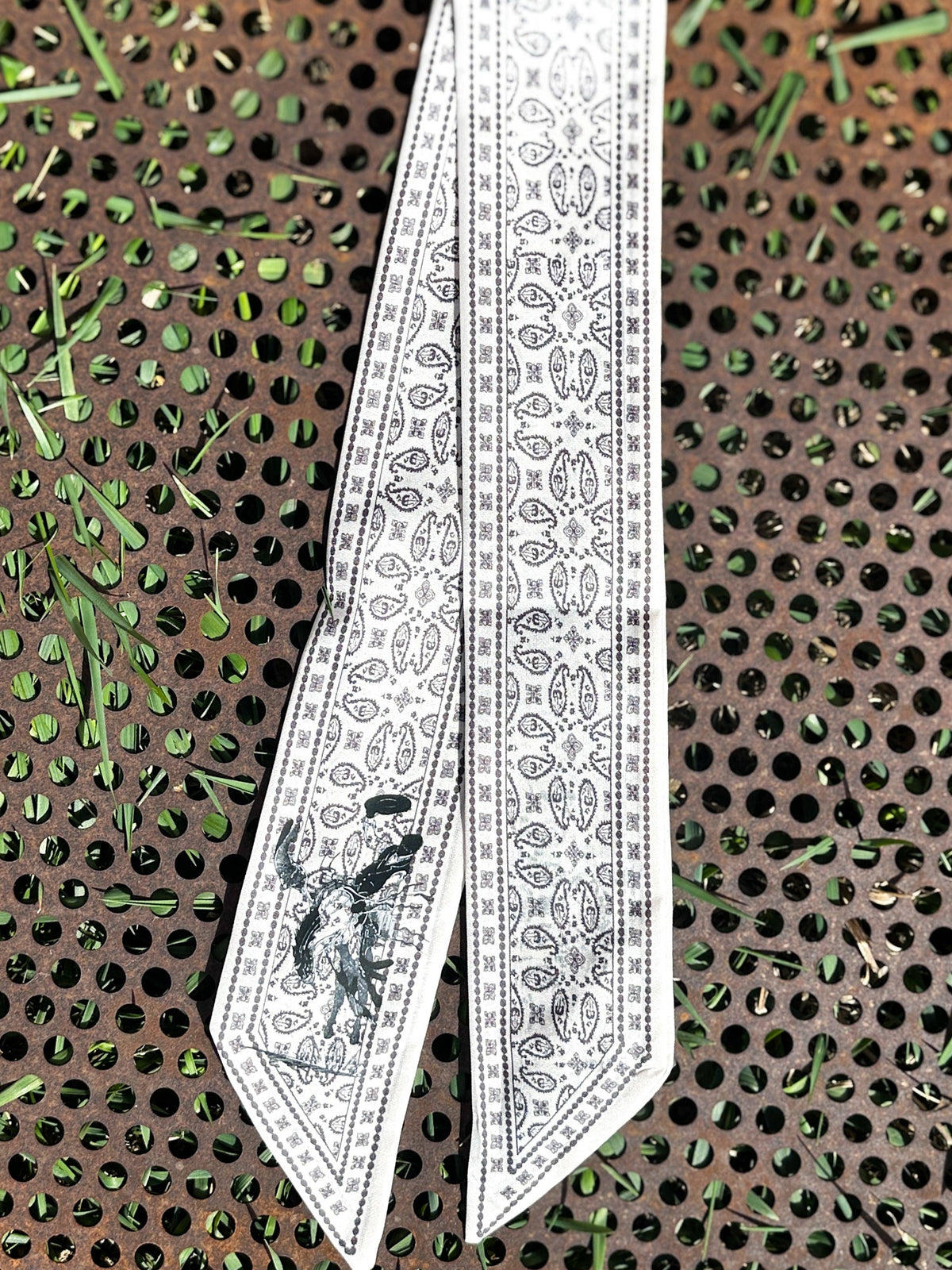 Paisley Twillys