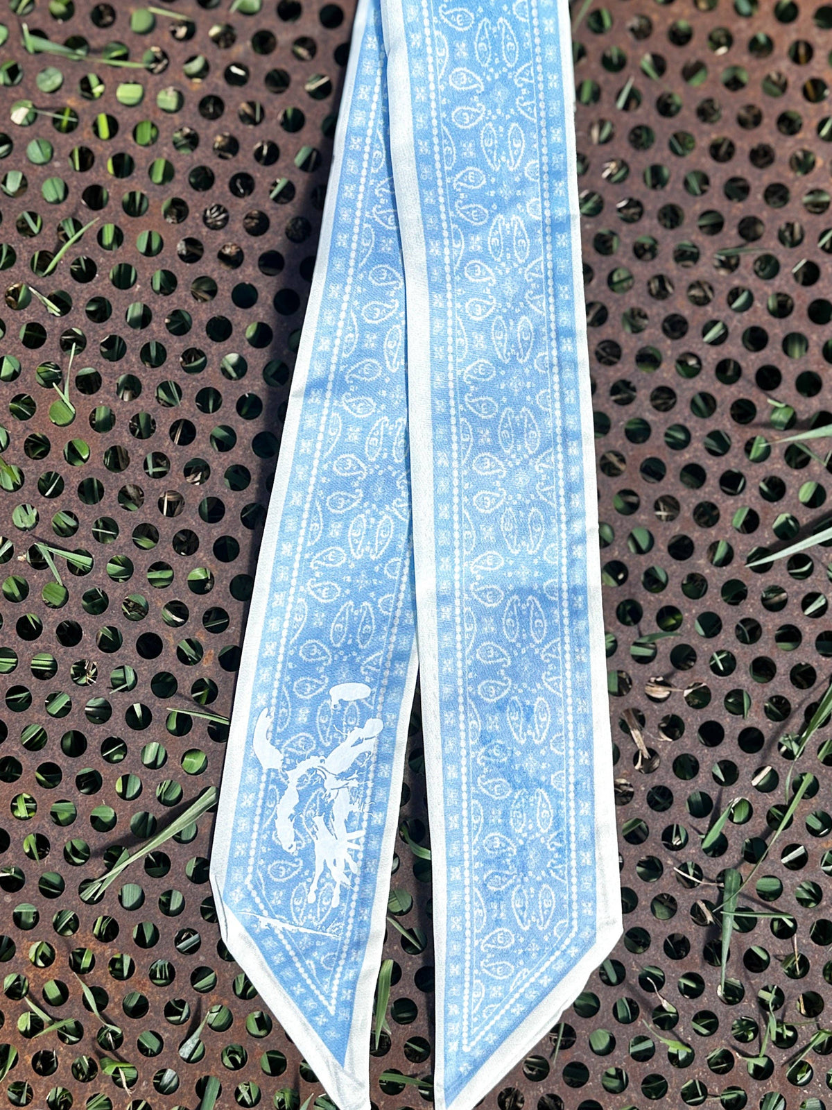 Paisley Twillys