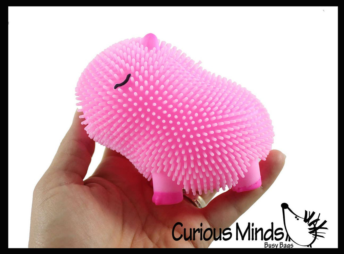 1 Capybara Puffer Air- Filled Squeeze Stress Balls - Squishy