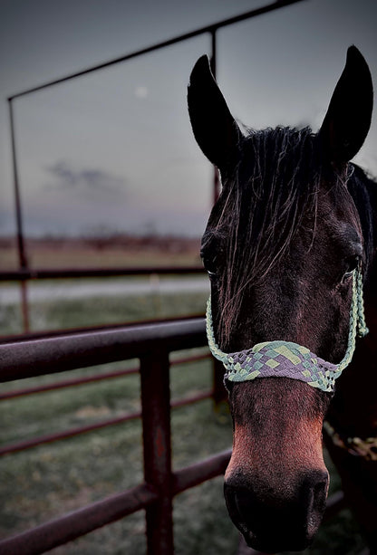 Handmade Mule Tape Halter: Braided Leather Horse Tack, Custom Colors, Hand-Stitched Design