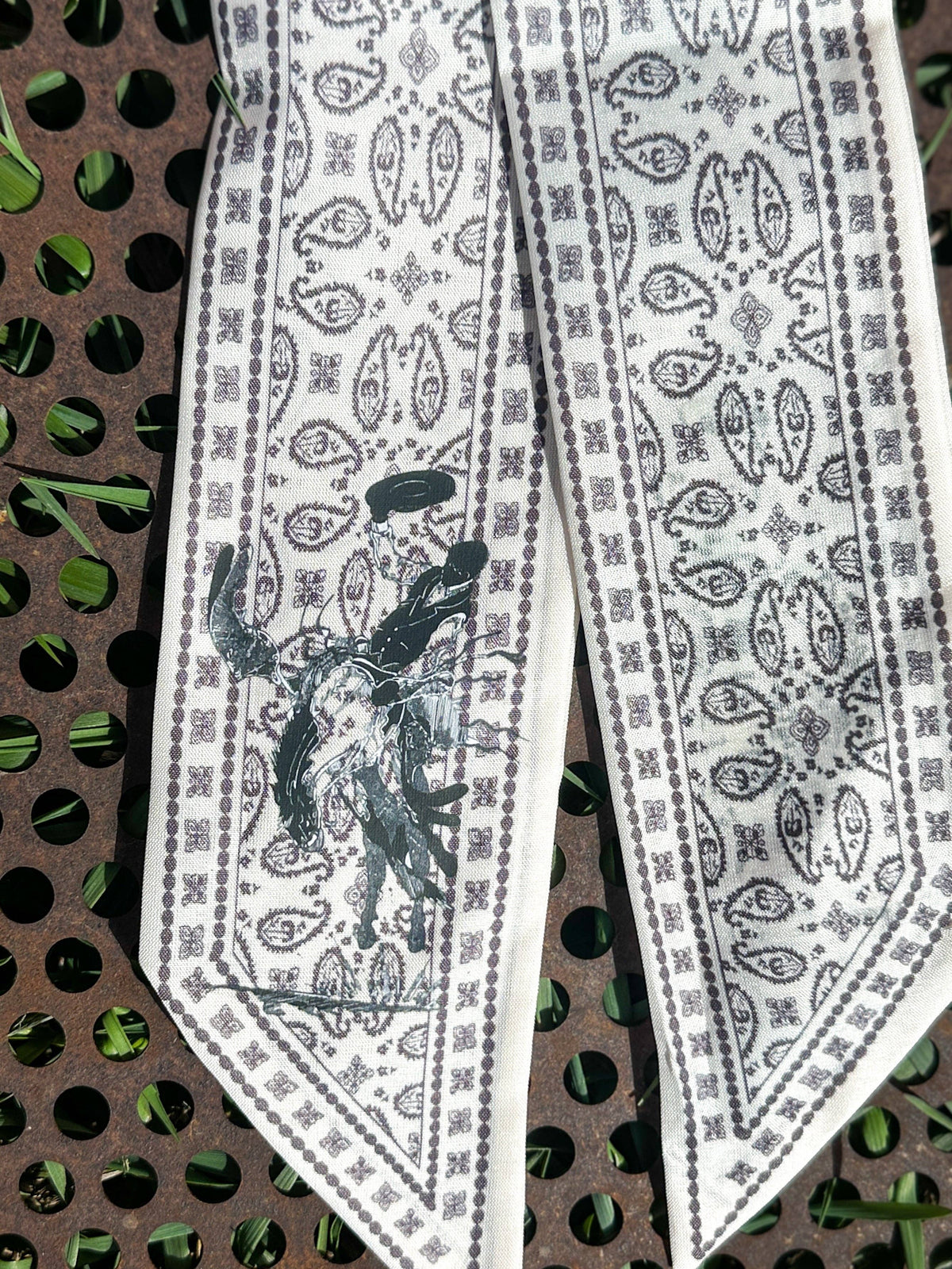 Paisley Twillys