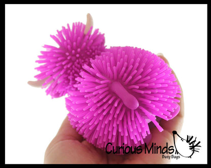 1 Puffer Highland Cow Fidget Toys - Air Filled Hairy Cute Squishy