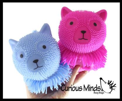 1 Shaggy Cat Large 7" Puffer Ball - Sensory Therapy Fidget Squishy