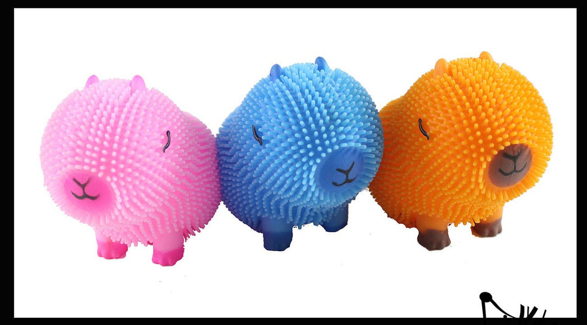 1 Capybara Puffer Air- Filled Squeeze Stress Balls - Squishy
