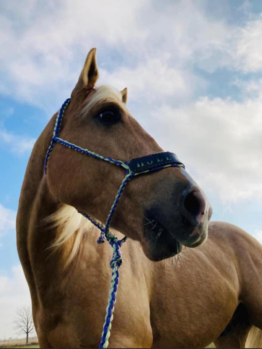 Handmade Mule Tape Halter: Braided Leather Horse Tack, Custom Colors, Hand-Stitched Design