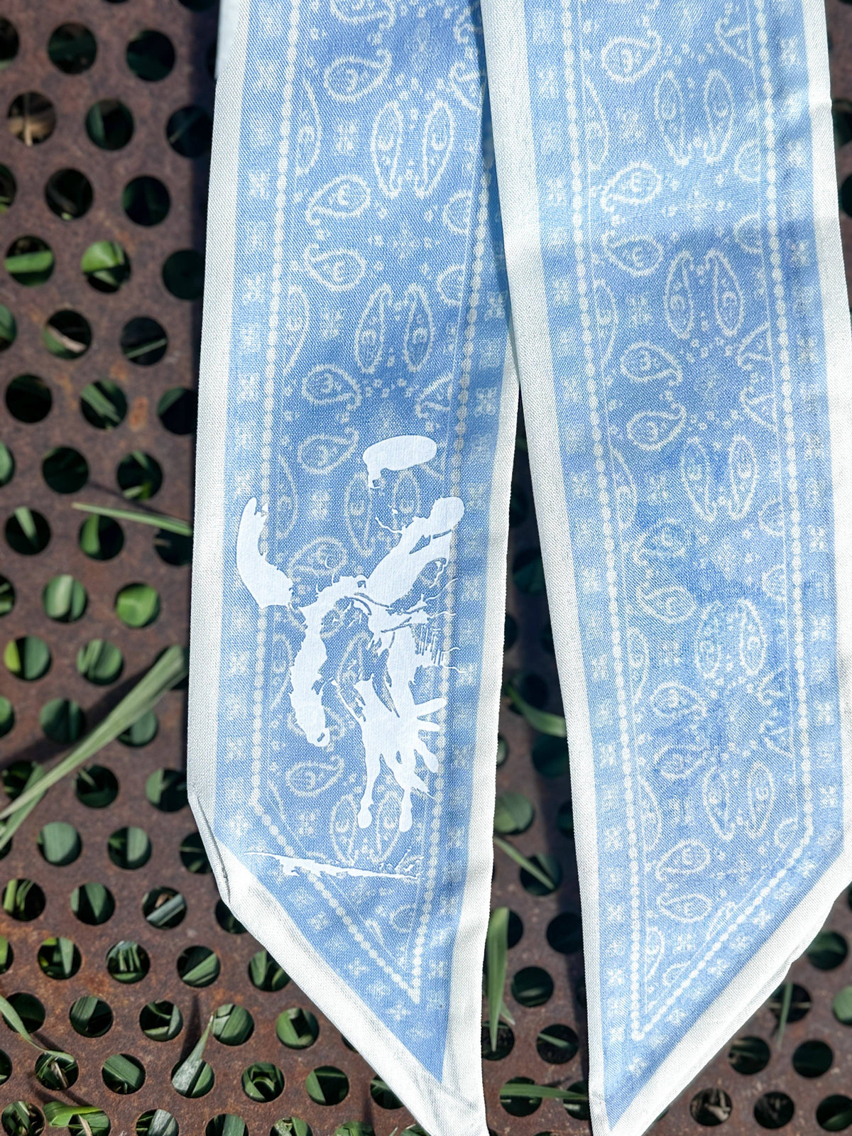 Paisley Twillys