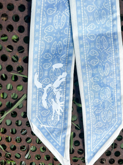 Paisley Twillys
