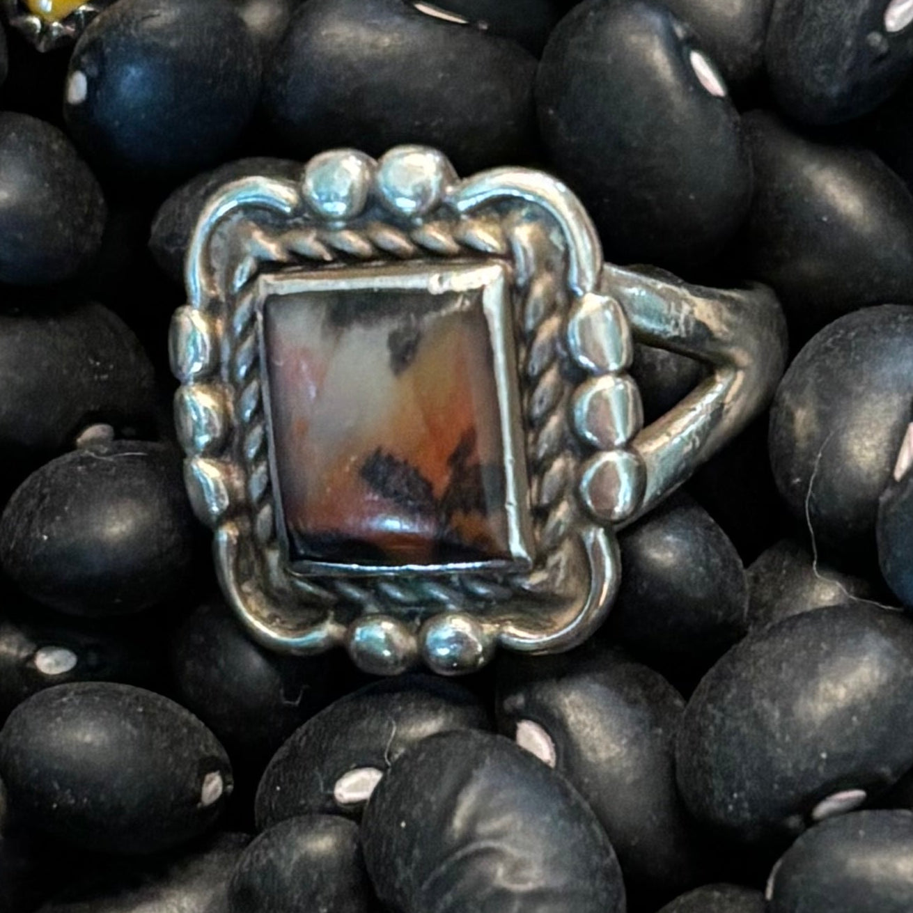 Petrified Wood Ring
