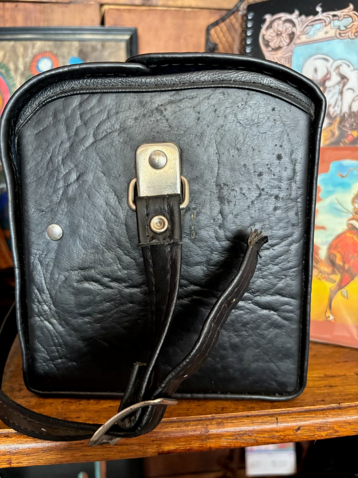 Hand Painted Camera Case Purse