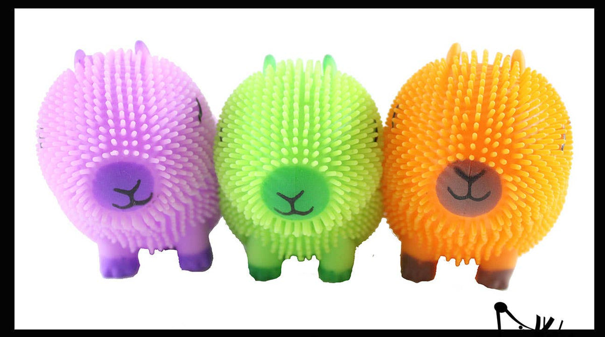 1 Capybara Puffer Air- Filled Squeeze Stress Balls - Squishy