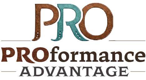 Custom Hand-Drawn Logo Design | Business Branding, Digital Files (Deposit)
