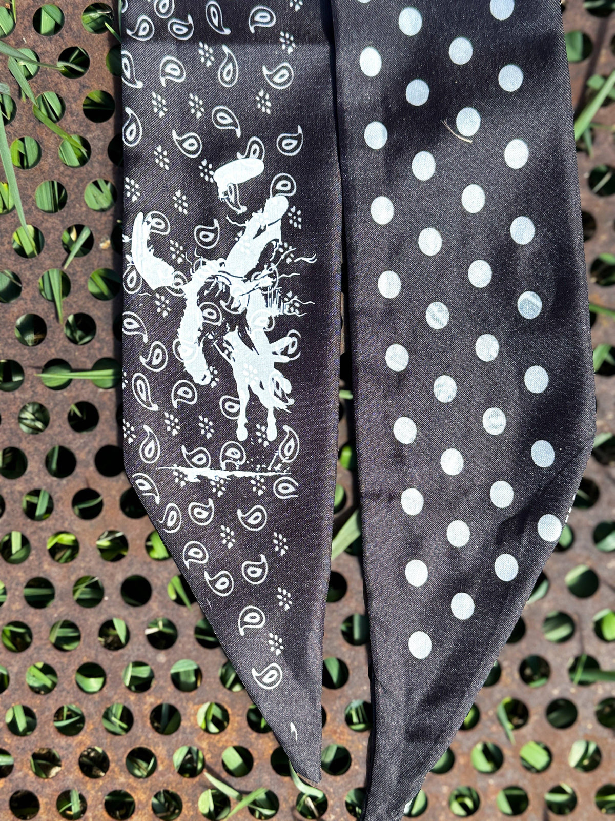 Paisley Twillys