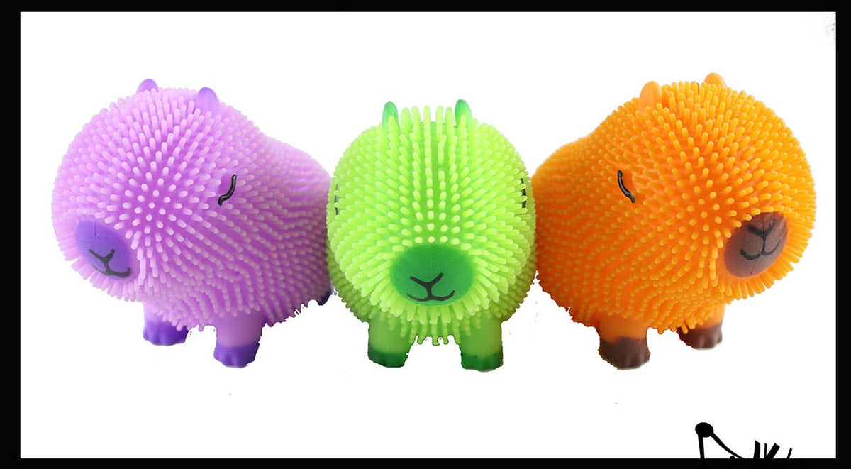 1 Capybara Puffer Air- Filled Squeeze Stress Balls - Squishy