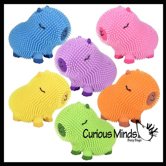 1 Capybara Puffer Air- Filled Squeeze Stress Balls - Squishy
