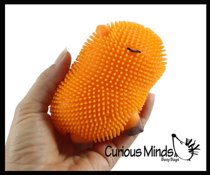 1 Capybara Puffer Air- Filled Squeeze Stress Balls - Squishy