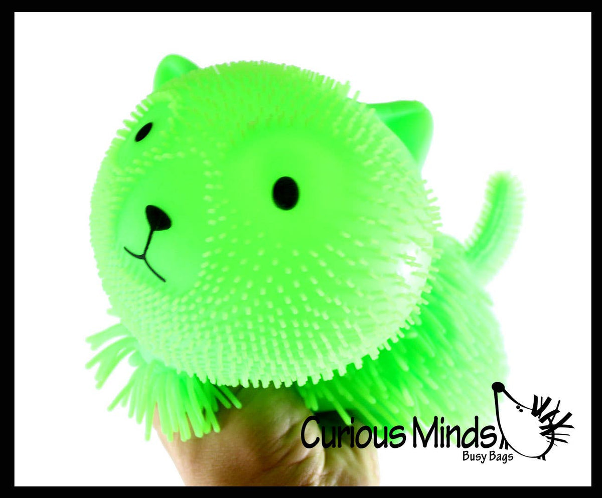 1 Shaggy Cat Large 7" Puffer Ball - Sensory Therapy Fidget Squishy