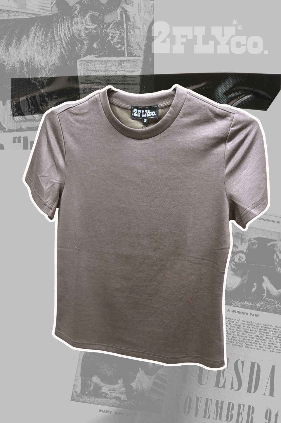 CLOUD BASIC SNUG TEE *MOCHA
