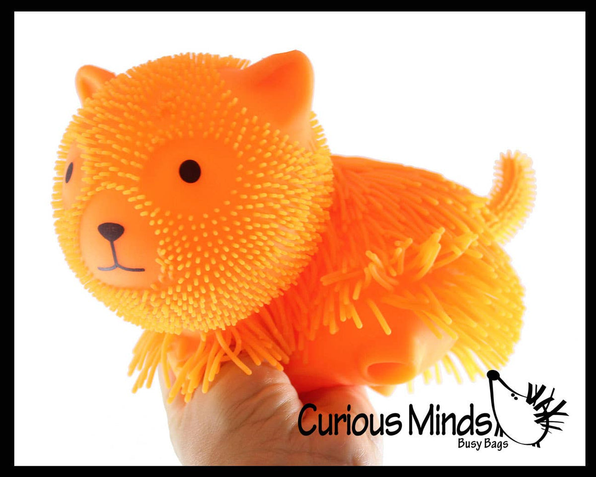 1 Shaggy Cat Large 7" Puffer Ball - Sensory Therapy Fidget Squishy