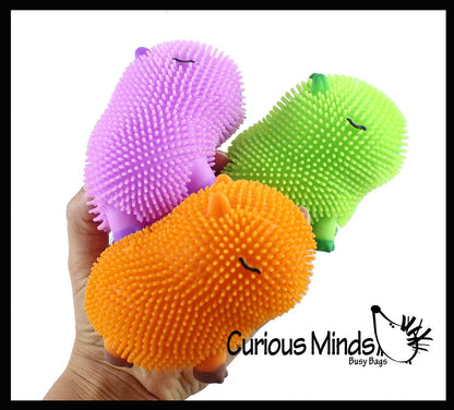 1 Capybara Puffer Air- Filled Squeeze Stress Balls - Squishy