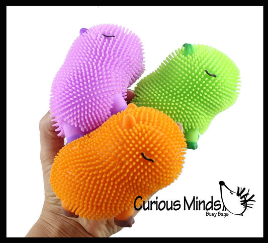 1 Capybara Puffer Air- Filled Squeeze Stress Balls - Squishy