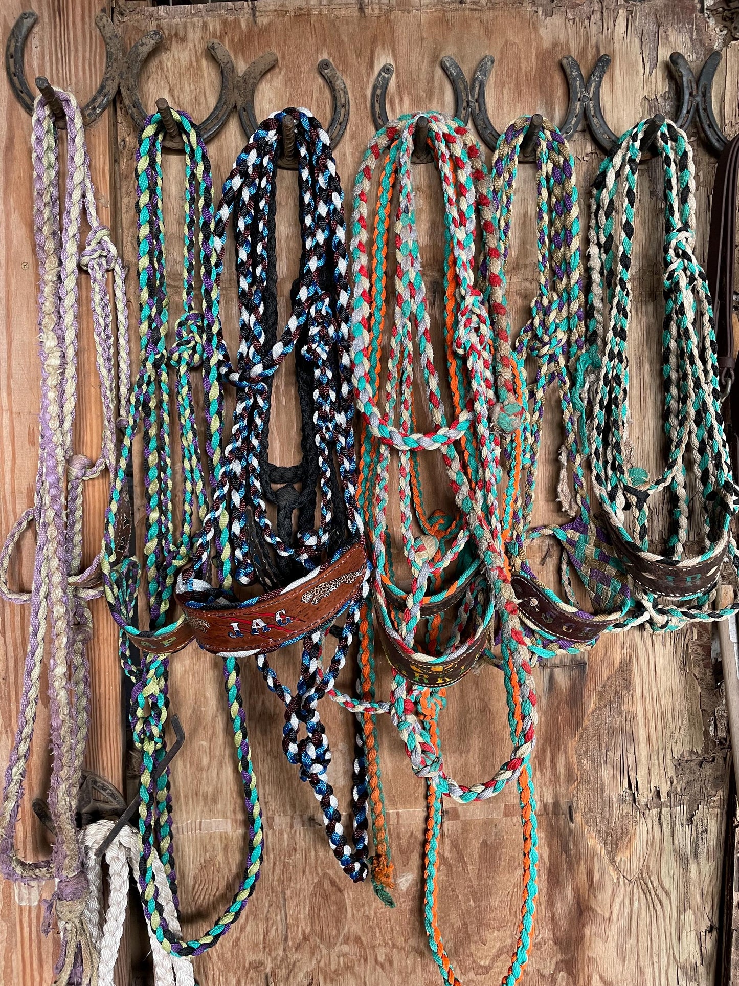Handmade Mule Tape Halter: Braided Leather Horse Tack, Custom Colors, Hand-Stitched Design
